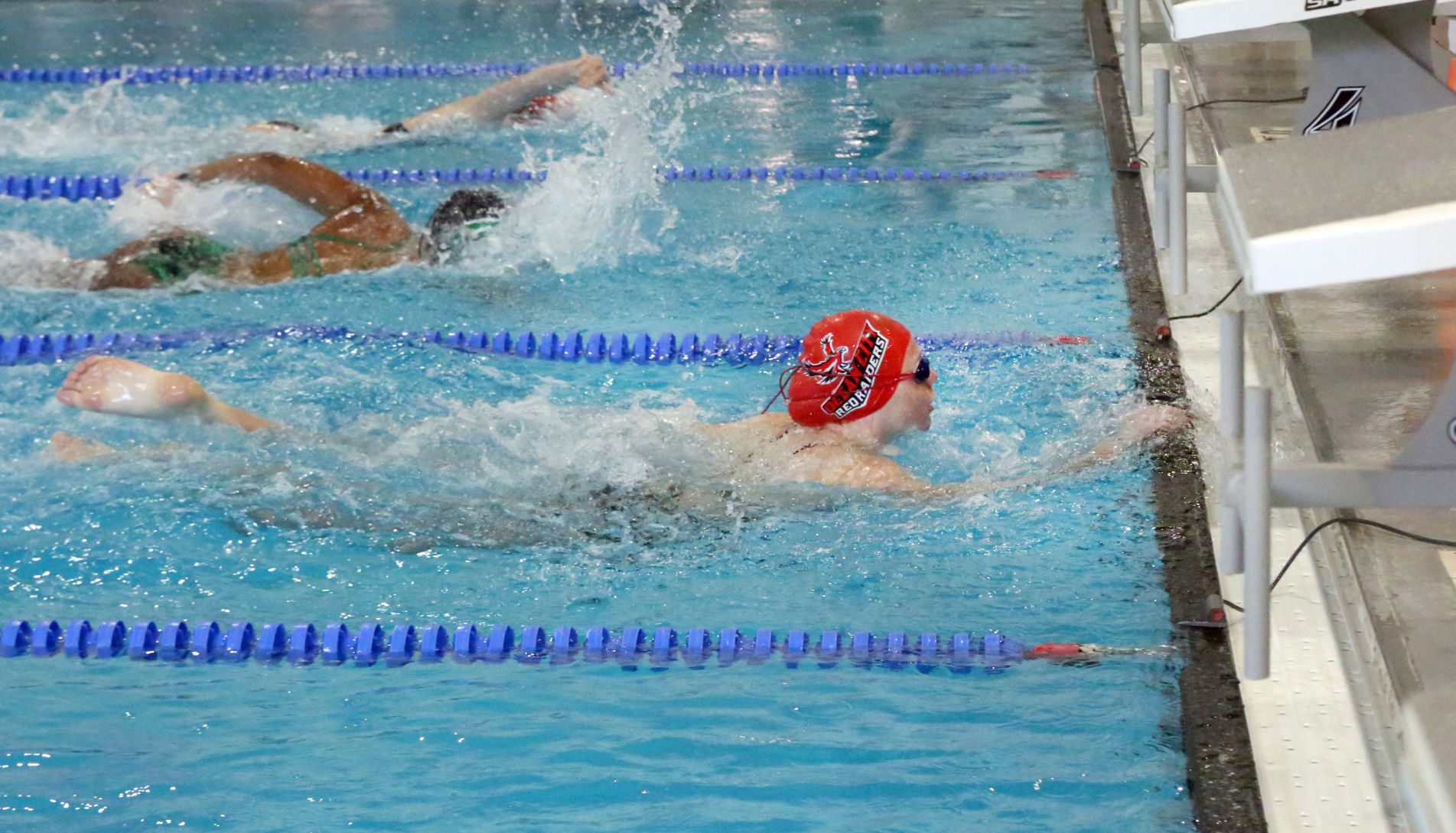 Ocean City Ridley Swimming